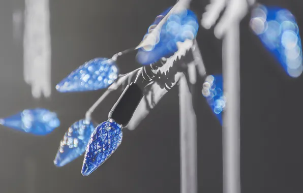 Macro, background, girllady