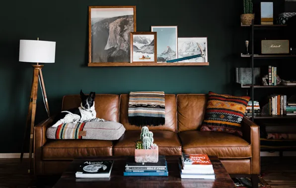 Design, style, books, interior, pictures, sofa, living room, Utah