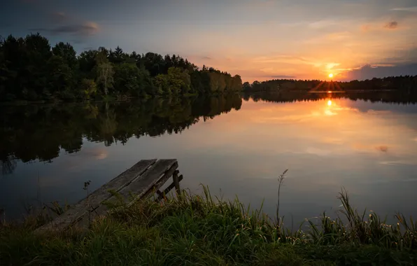 Forest, the sky, grass, the sun, trees, sunset, river, pier