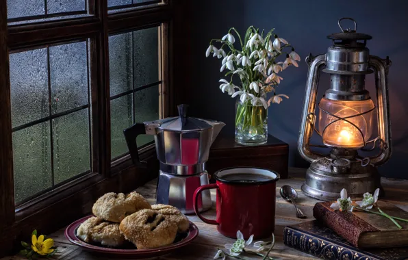Books, lamp, coffee, cookies, window, snowdrops, mug, still life