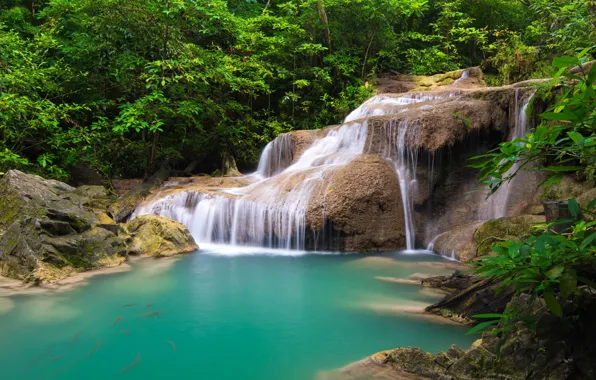 Picture greens, forest, trees, tropics, stream, stones, waterfall, Thailand