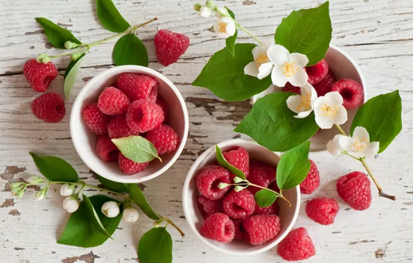Picture berries, raspberry, Jasmine