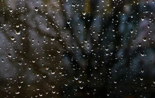 Glass, drops, night, rain, window, rain drops on glass, Panasonik DMC-TZ3
