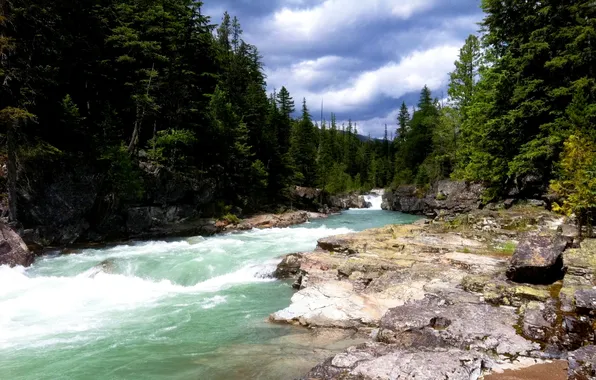 Forest, the sky, trees, mountains, stream, river