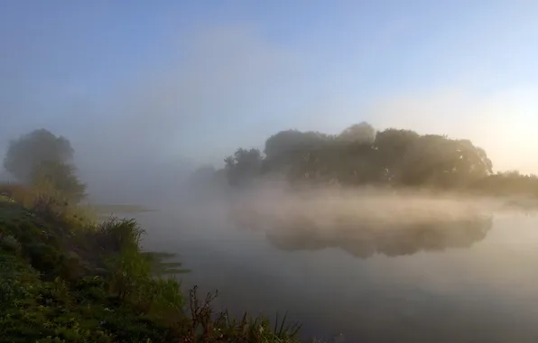 Picture nature, fog, lake, morning