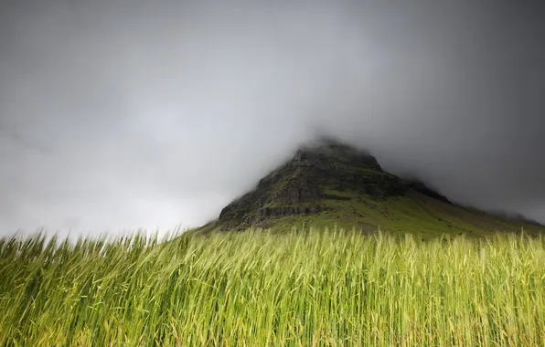 Field, mountains, nature, fog
