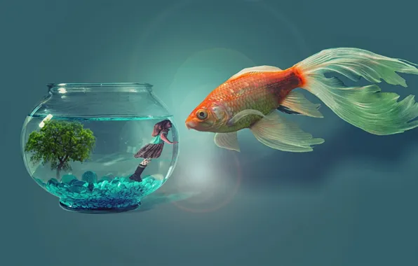 Digital art, fish, artwork, photo manipulation, animal themes