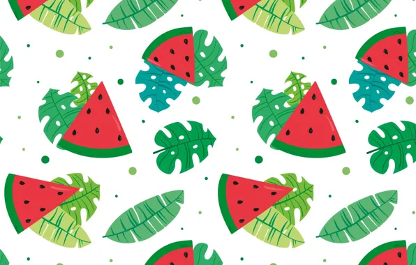 Leaves, texture, watermelon, white background, fruit, watermelons, slices, monstera