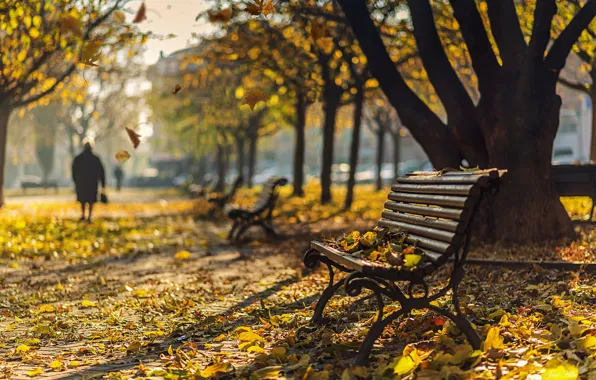 Autumn, the city, street