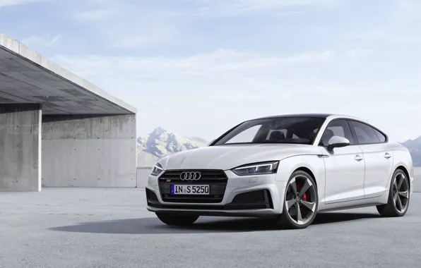 Audi, TDI, Sportback, Audi S5, 2019