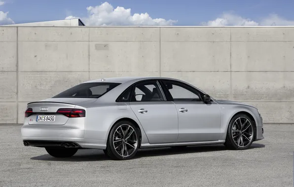 Audi, Audi, 2015, S8 more