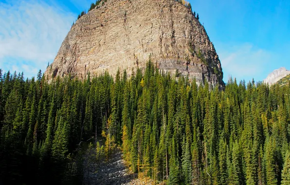 Forest, trees, mountains, stones, rocks, Canada, Banff