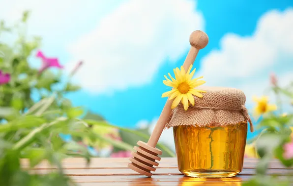 Flower, the sky, yellow, table, background, honey, spoon, sweet