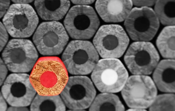 Macro, color, pencil, Accent, Stand out