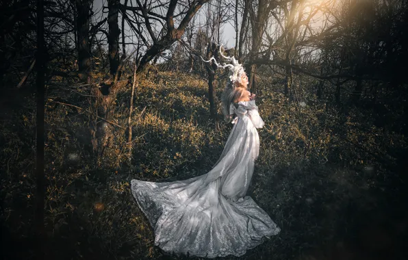 Forest, grass, girl, light, trees, branches, nature, pose