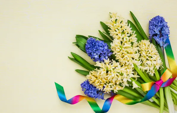 Picture flowers, LAIMDOTA GRIVANE, tape, background, bouquet, white, hyacinths, spring