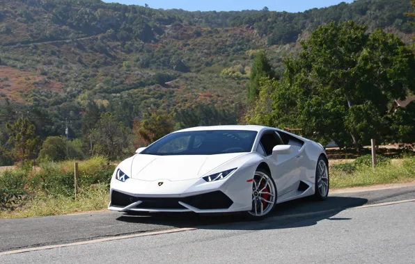 Picture white, lamborghini, road, Huracan