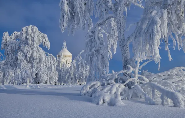Winter, snow, trees, frost, the snow, temple, Russia, the dome