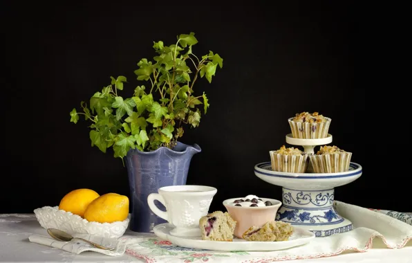Food, still life, cupcakes, lemons