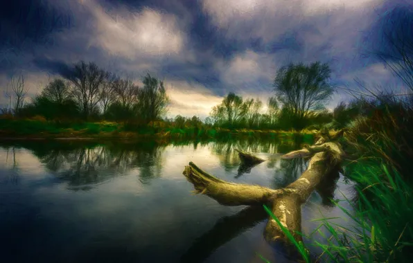Trees, clouds, lake