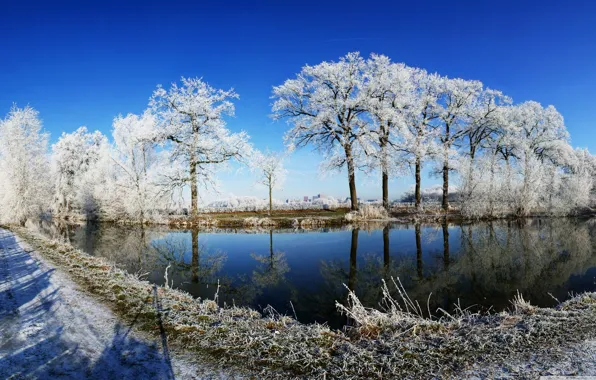 Cold, ice, winter, frost, road, trees, reflection, shore