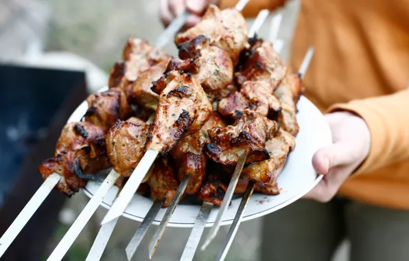 Picture summer, meat, kebab, delicious, skewers