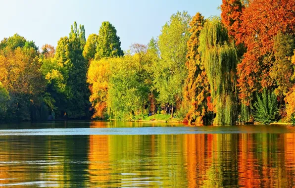 Autumn, trees, lake, landscape, nature, autumn, leaves, tree