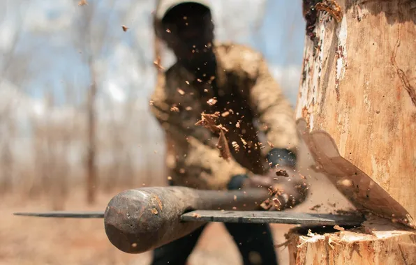 Tree, blow, axe, lumberjack