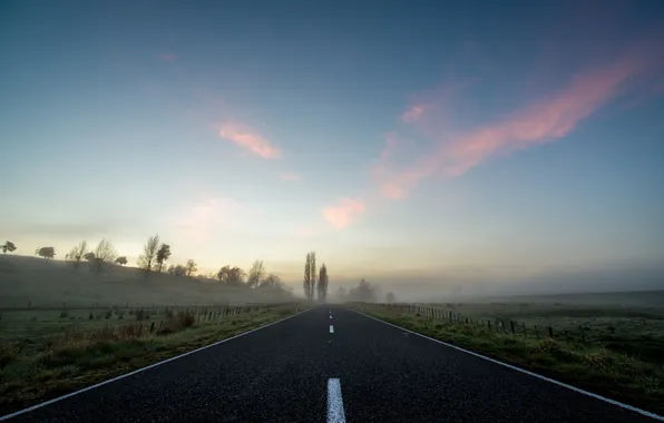 Picture road, landscape, fog, morning