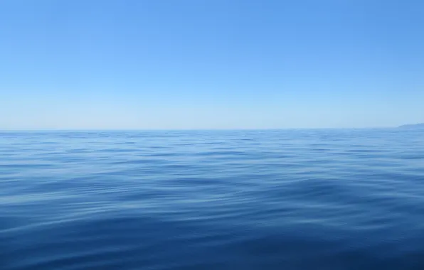 Sea, water, nature, surface, morning