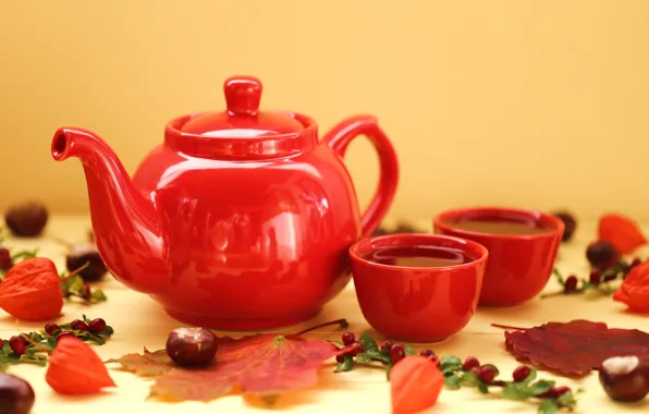 Picture autumn, leaves, mood, tea