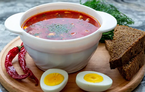 Bread, soup, the first dish, Solyanka