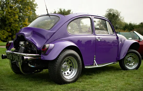 Picture beetle, Volkswagen, 1971, VW Beetle