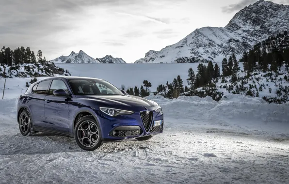 Snow, Alfa Romeo, 2019-20, Stelvio Sprint