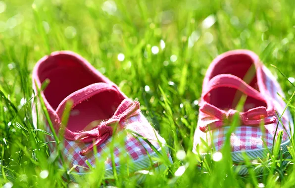 Summer, grass, mood, Sunny