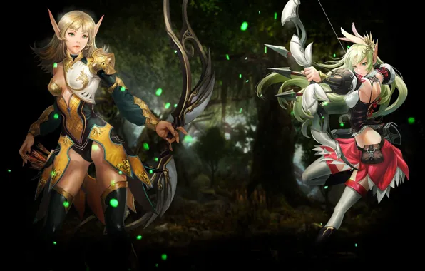 Weapons, girls, lady, Echo of Soul