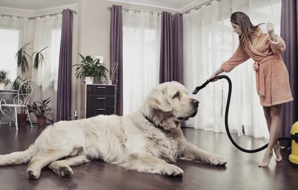 Picture girl, creative, room, dog, plants, chair, curtains, vacuum cleaner