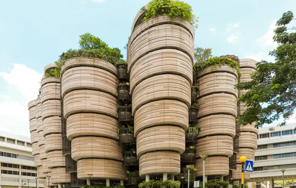 Sign, posts, construction, architecture, Learning Hub by Heatherwick Studio