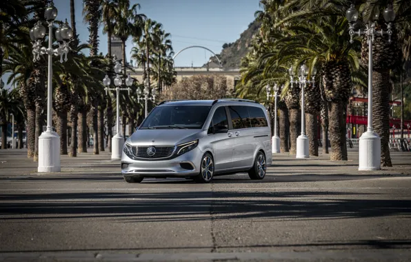 Concept, Palm trees, Mercedes Benz, Van, Mercedes-Benz Concept EQV