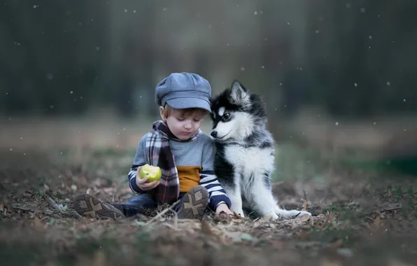 Picture autumn, nature, animal, Apple, dog, boy, scarf, baby