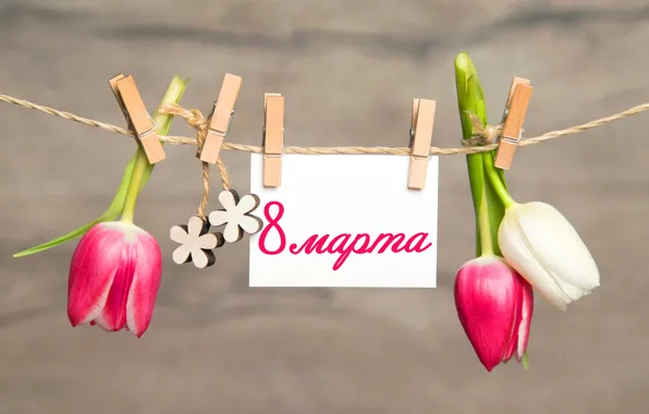 Flowers, tulips, March 8, clothespins, pink, flowers, romantic, tulips