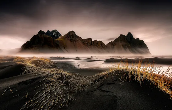 Iceland, Stokksnes, black sand