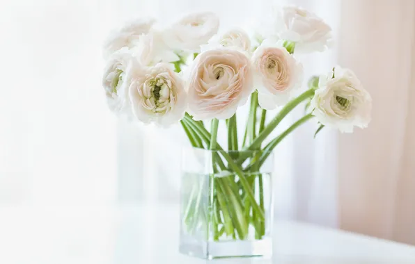 Picture flowers, window, vase