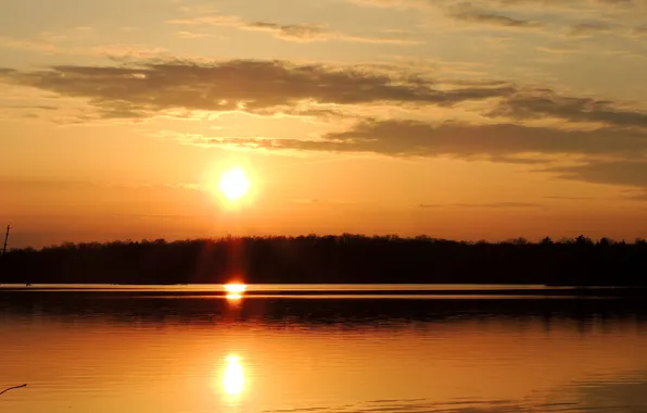 Forest, the sky, the sun, clouds, trees, sunset, river