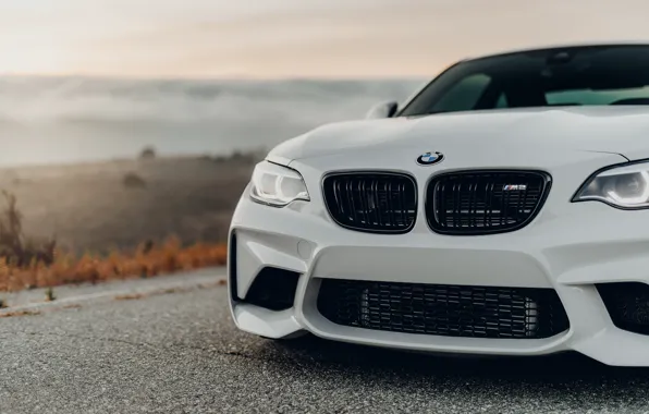 White, before, grille, F87, BMW M2