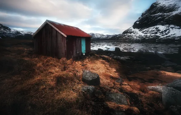 Picture sea, shore, home