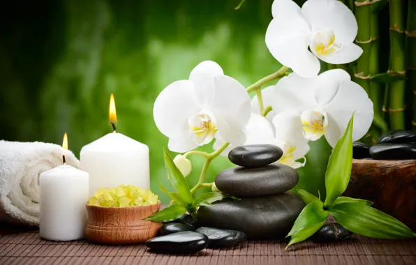 Picture flower, stones, candles, bamboo, black, Orchid, flowers, black
