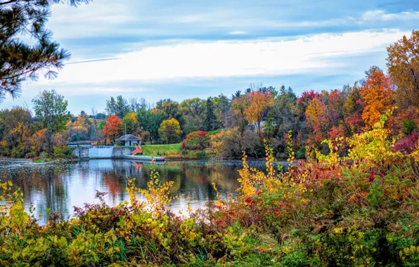 Picture autumn, Canada, Alberta