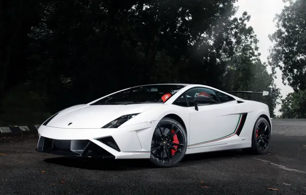 Lamborghini, Gallardo, LP570-4, Corse, Squadra