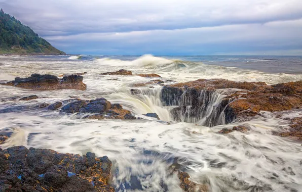 Sea, wave, forest, the sky, clouds, stones, rocks, shore